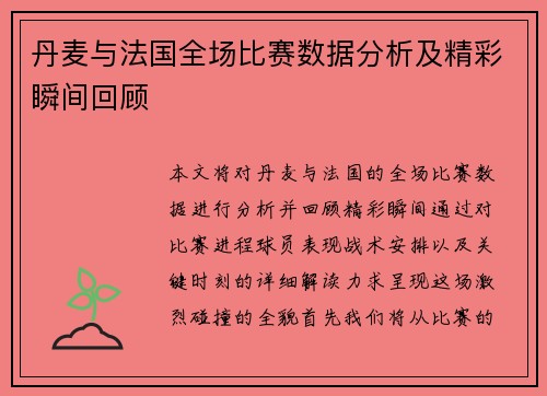 丹麦与法国全场比赛数据分析及精彩瞬间回顾